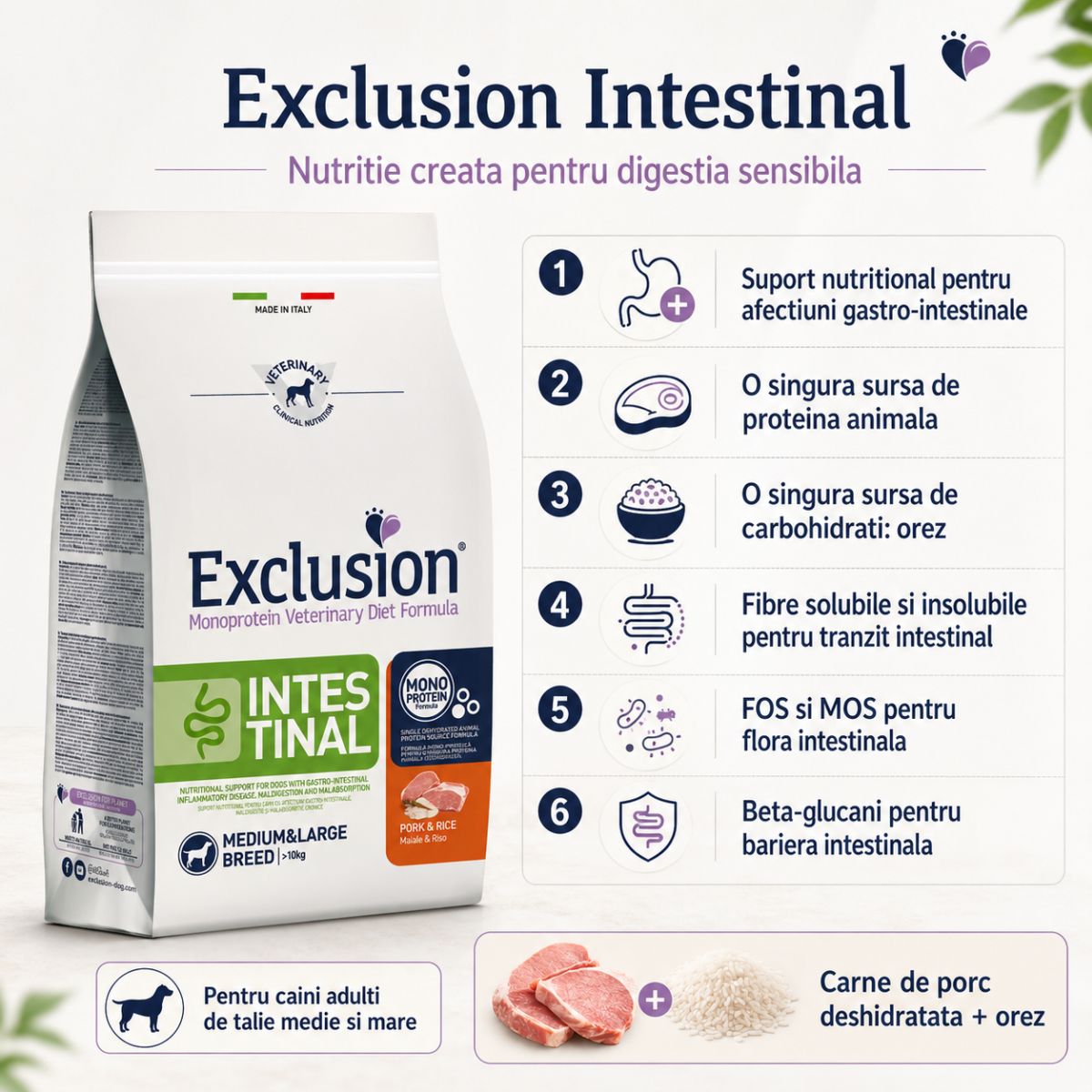 EXCLUSION Monoprotein VD Intestinal, Porc și Orez, dietă veterinară, hrană uscată pisici, sistem digestiv, 1.5kg